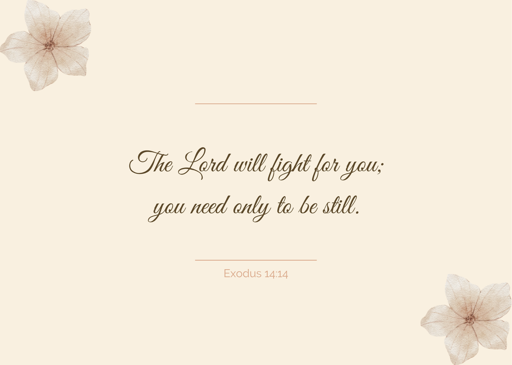Scripture Cards
